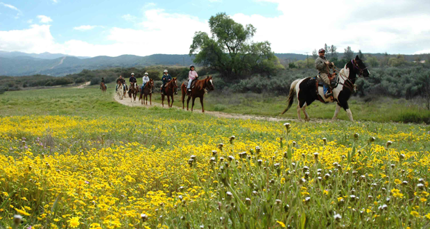 Horseback Riding Back at Warner Springs Ranch Resort