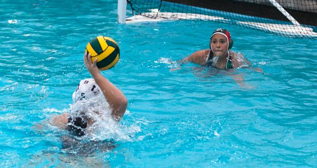 Quinne Pursell Scores 10 as Wildcats Dominate Crosstown Rival Pirates, 15-1-Updated