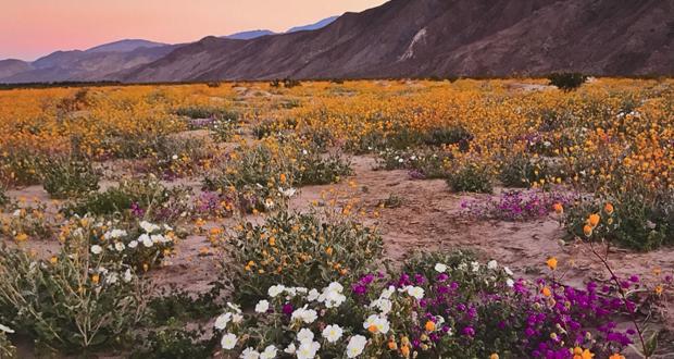 Photo+by+Denise+Zuranski%2FSheriffs+Senior+Volunteer+Patrol