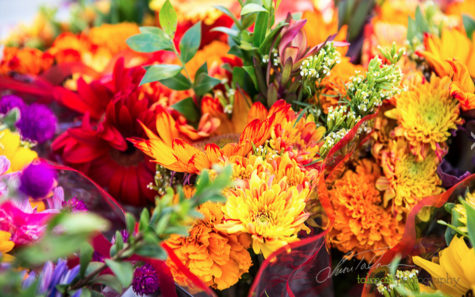 The Rancho Santa Fe Farmers Market offers fresh-cut flowers in addition to artisan foods and local produce. (Photo by Susie Talman, courtest of Rancho Santa Fe Farmers Market)