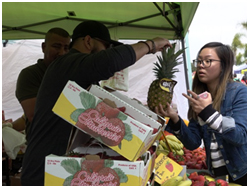 San Marcos Kicks Off Street Fairs and Festival Season