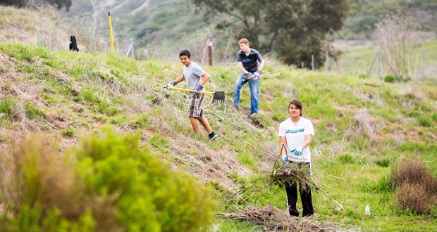 (Photo courtesy: City of Carlsbad)