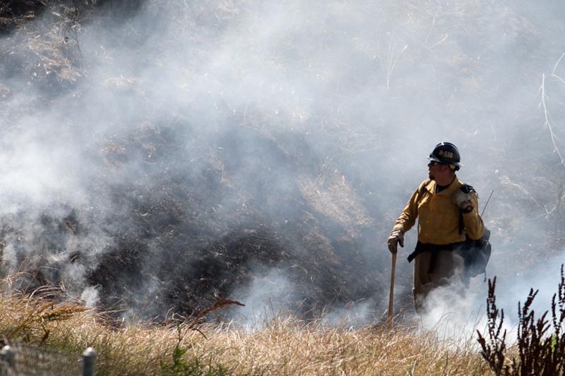 Fire Burns More than 50 Acres North of Oceanside-Updated