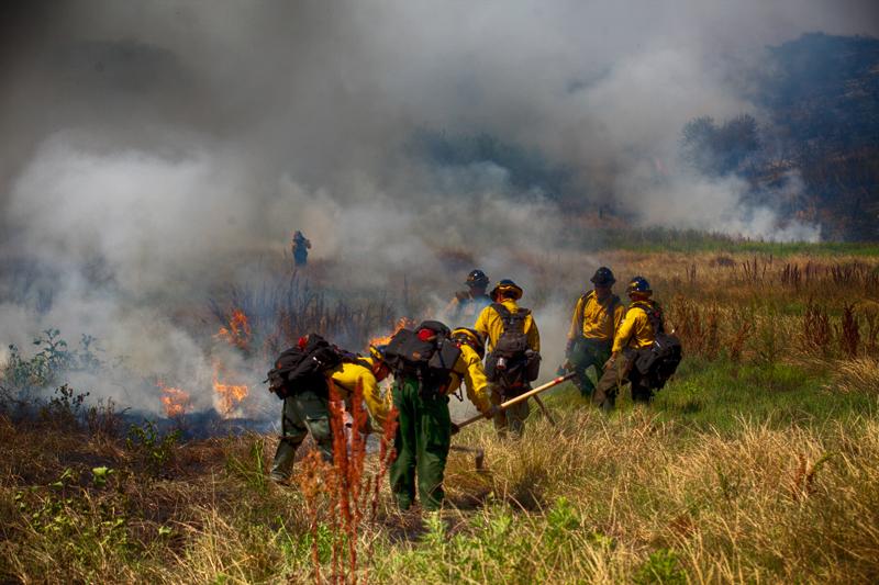 Fire Burns More than 50 Acres North of Oceanside-Updated