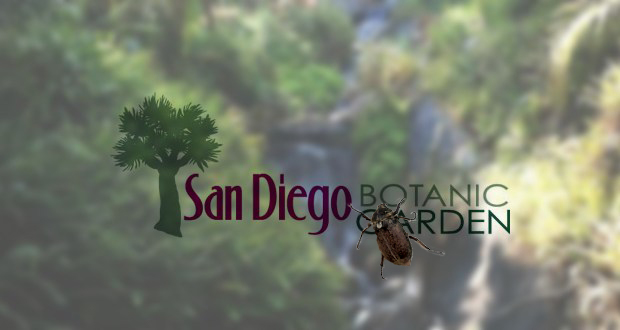 Insect Festival at SD Botanic Garden in Encinitas - July 21 and 22