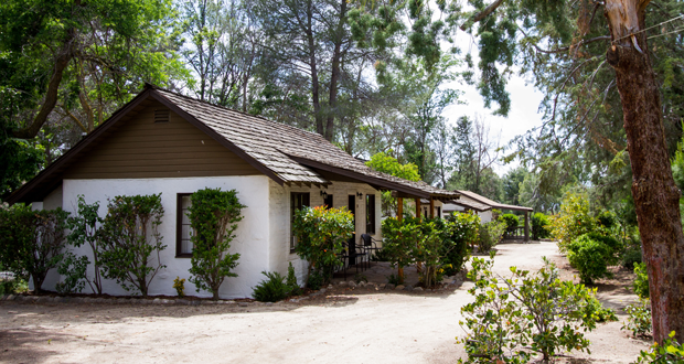 Photo: Carrisito Captures - Rowlynda Moretti Photography