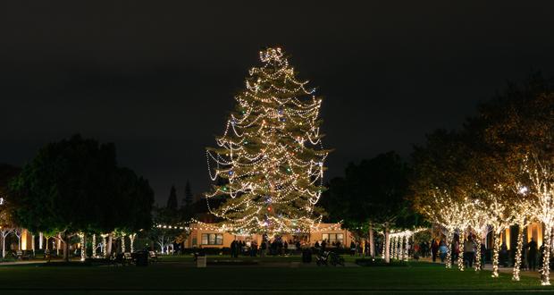 Three Unique Dance Performances Plus the Return of the Outdoor Ice Rink All Taking Place this Month at ARTS DISTRICT Liberty Station