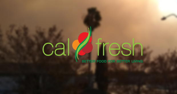 CalFresh+Replacement+Benefits+Available+for+Individuals%2C+Households+Displaced+by+Fires+and+Power+Outages