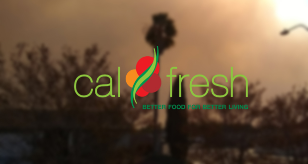 CalFresh Replacement Benefits Available for Individuals, Households Displaced by Fires and Power Outages