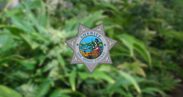 Two Illegal Marijuana Dispensaries Shut Down in Vista
