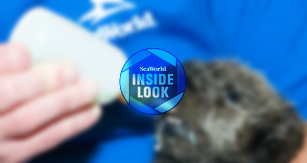 SeaWorld’s Popular ‘Inside Look’ Extended Through Feb. 4