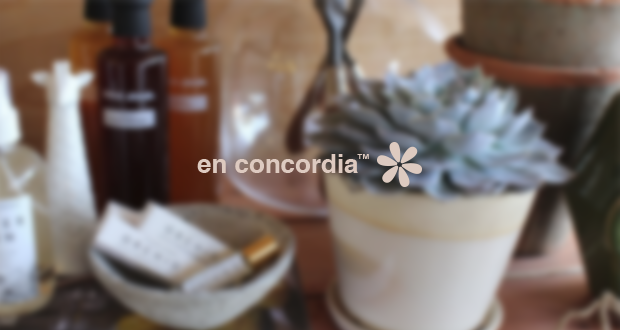 en+concordia%E2%80%99s+%E2%80%9CThe+Shed%E2%80%9D+Begins+Workshops+to+Exercise+Inner+Artist