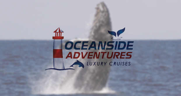 Free Whale Watching for Kids in October with Oceanside Adventures