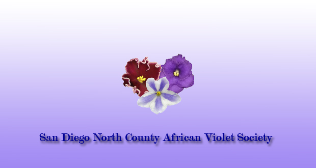San Diego County African Violet Society August Meeting