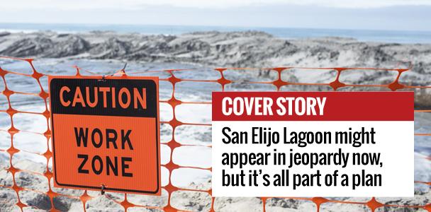 Orange netting, pictured March 9, stretches down San Elijo Lagoon in Cardiff to keep beachgoers safe during construction. (Photo by Cam Buker)