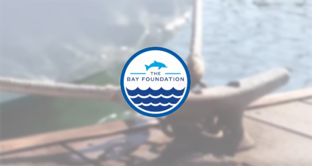 Free Eco-Education Workshops: Dockwalkers Help Boaters Keep Pollution Out of the Ocean