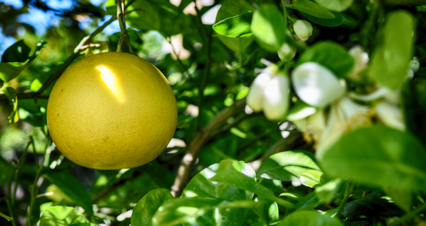 GleanUp Day in Oceanside-April 21