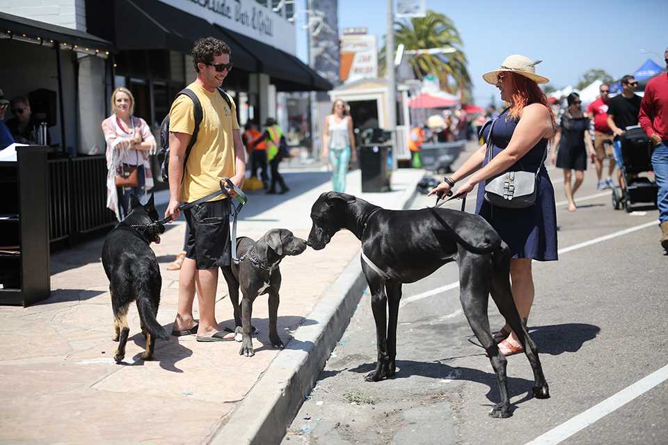 Street Faire snapshots: Images from Encinitas' annual spring event