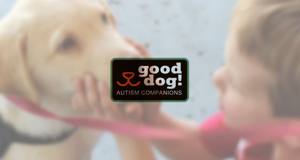 Local Service Dog Organization Goes Online Due to Global Pandemic