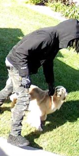 Vista Burglary Suspects
