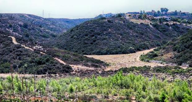 SANDAG will Preserve Nearly 112 Acres of Habitat in Carmel Valley