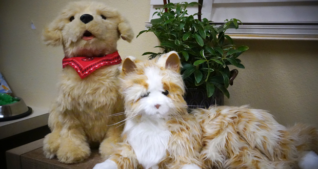 GlenBrook Health Center Introduces New Pets - Batteries Included