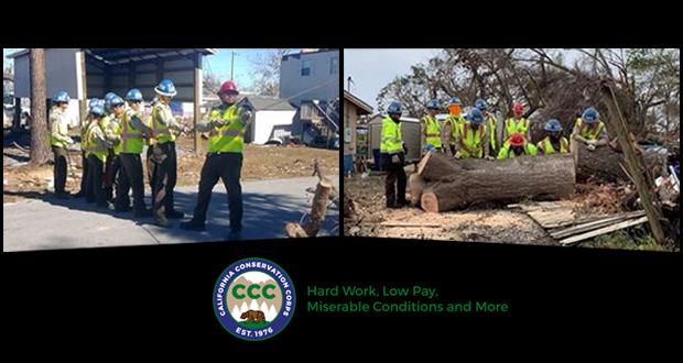 (leftSan Diego Crew 22 uses a rope system to safely fell trees at a Florida property damaged by the hurricane.) (right)
San Diego Crew 22 rolls a giant tree trunk in a resident’s yard damaged by Hurricane Michael