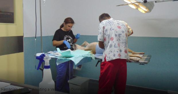 Rash Hassanien Hassan during surgery (Photo courtesy ABC)
