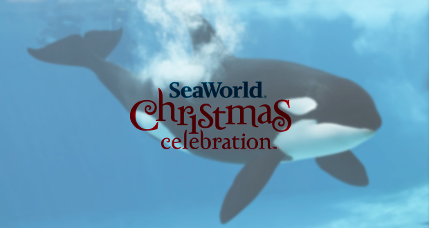 SeaWorld’s Christmas Celebration has So Much To ‘Sea’ and Do