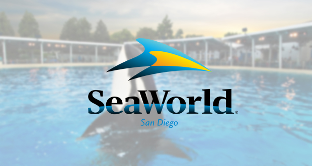 SeaWorld Kicks Off Summer this Weekend with a Bang, a Band and a Bunch of Fun
