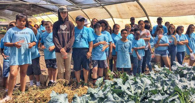 BGCO teens took a field trip to Valley Heights Ranch, where they were able to harvest strawberries to take home. (Photo courtesy: BGCOceanside)