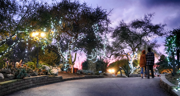 A Visit to the San Diego Botanic Garden Garden of Lights