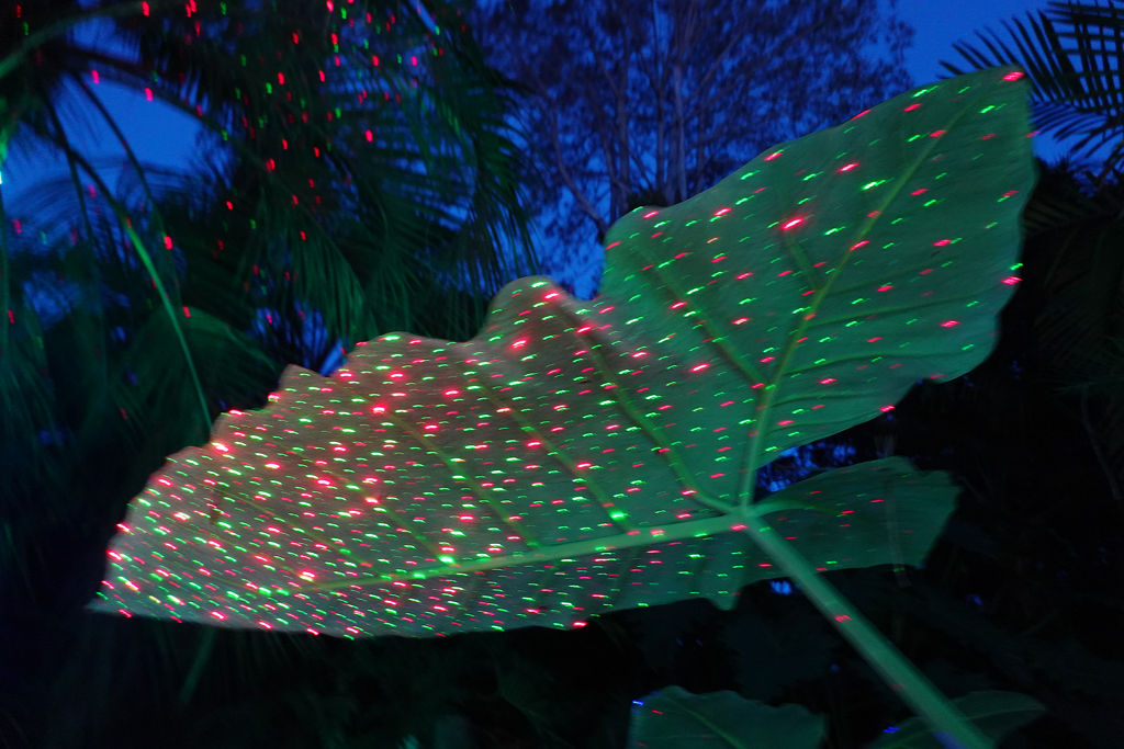 A Visit to the San Diego Botanic Garden 'Garden of Lights'