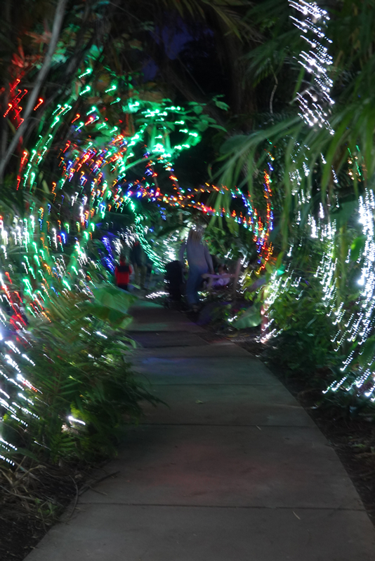 A Visit to the San Diego Botanic Garden 'Garden of Lights'
