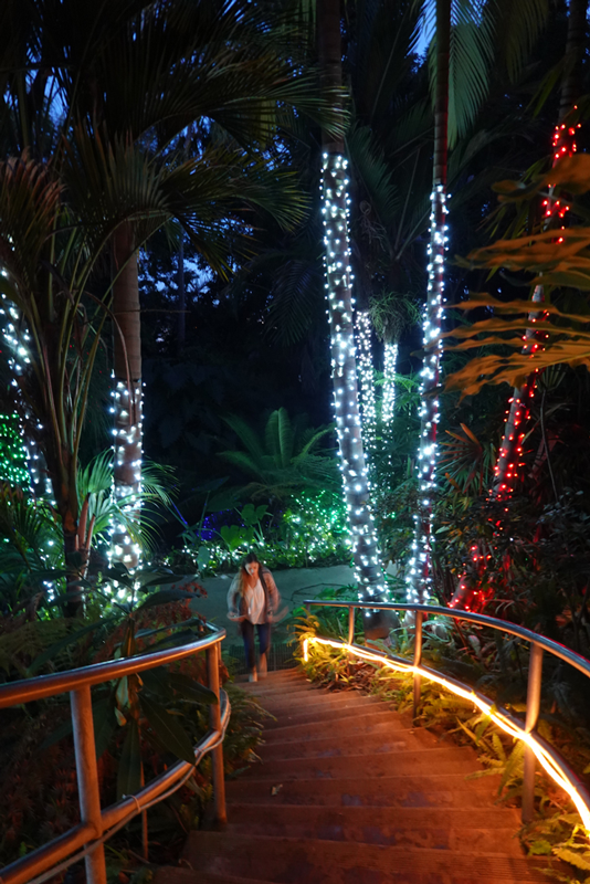 A Visit to the San Diego Botanic Garden 'Garden of Lights'