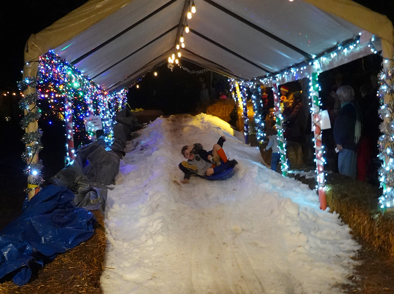A Visit to the San Diego Botanic Garden 'Garden of Lights'