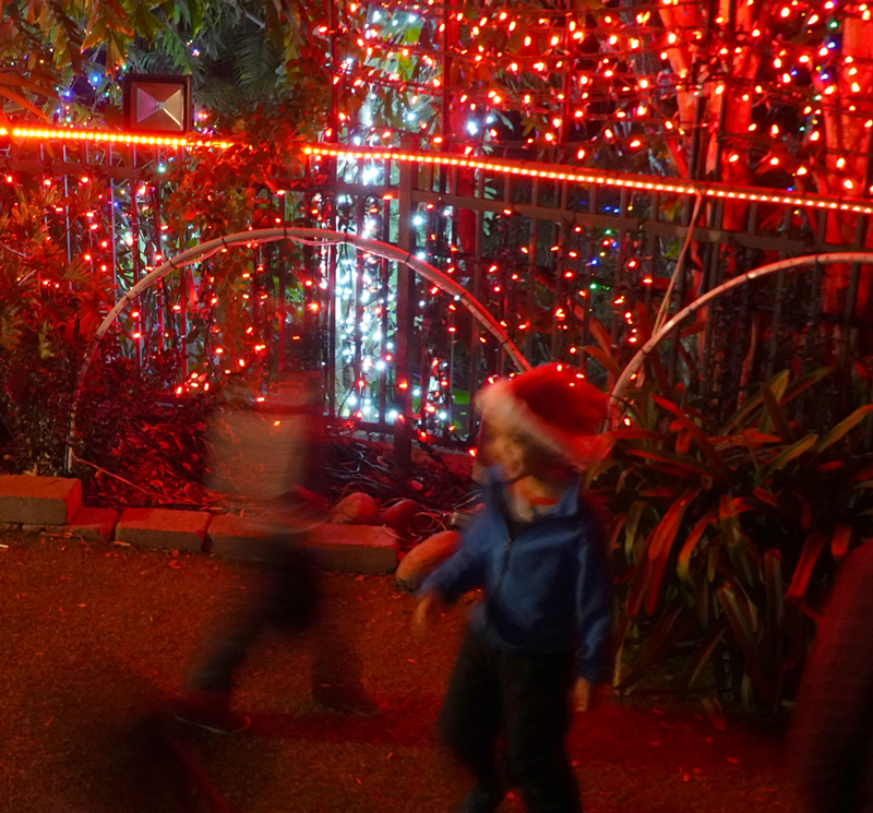 A Visit to the San Diego Botanic Garden 'Garden of Lights'