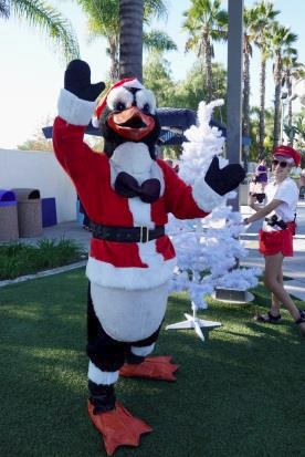 Chillin' at the Wave Waterparks' Penguin Plunge