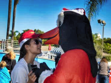 Chillin' at the Wave Waterparks' Penguin Plunge