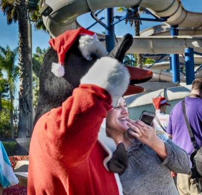 Chillin' at the Wave Waterparks' Penguin Plunge