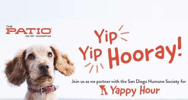 Yappy Hour at The Patio on 101- January 16