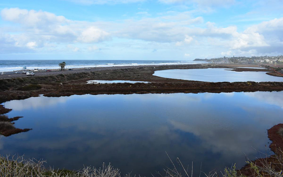 The Harbaugh Seaside Trails property provides unobstructed views of the San Elijo Lagoon and coastline. (Photo courtesy of the San Elijo Lagoon Conservancy)