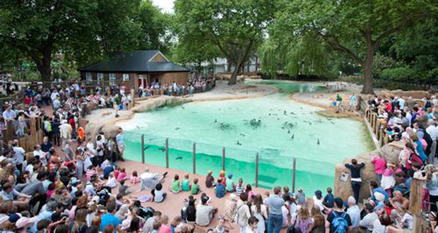 Zoological Society of London: ZSL Whipsnade Zoo 