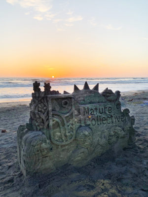 The letters of the Nature Collective name were carved out by a sandcastle sculptor during the official name unveiling for the now-former San Elijo Lagoon Conservancy. The name change official was made official May 17 at Seaside Beach party in Cardiff. (Nature Collective photo)