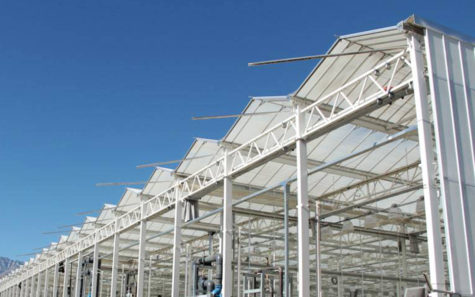 Carlsbad new corporate hub for cannabis product firm Sunniva