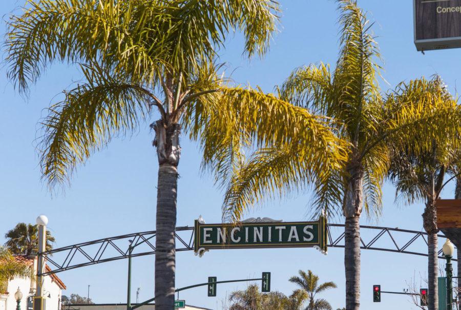 Palm trees line Coast Highway 101 in downtown Encinitas. (Photo by Doug Berry, iStock Getty Images)