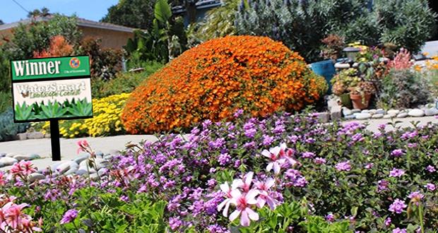 Landscape of Janet and Conrad Beck, homeowners on Laguna Street (Photo courtesy: City of Oceanside)