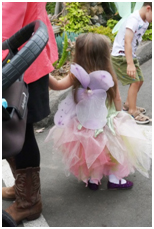 The San Diego Botanic Garden Fairy Festival