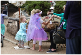 The San Diego Botanic Garden Fairy Festival