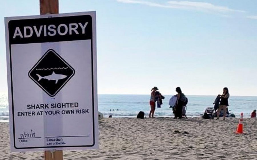 The city of Del Mar posted a shark advisory at its beaches July 23. Encinitas followed with its own advisory July 24. (Del Mar city photo)